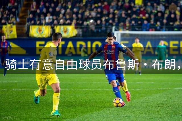 骑士有意自由球员布鲁斯·布朗，掘金旧将或成新援